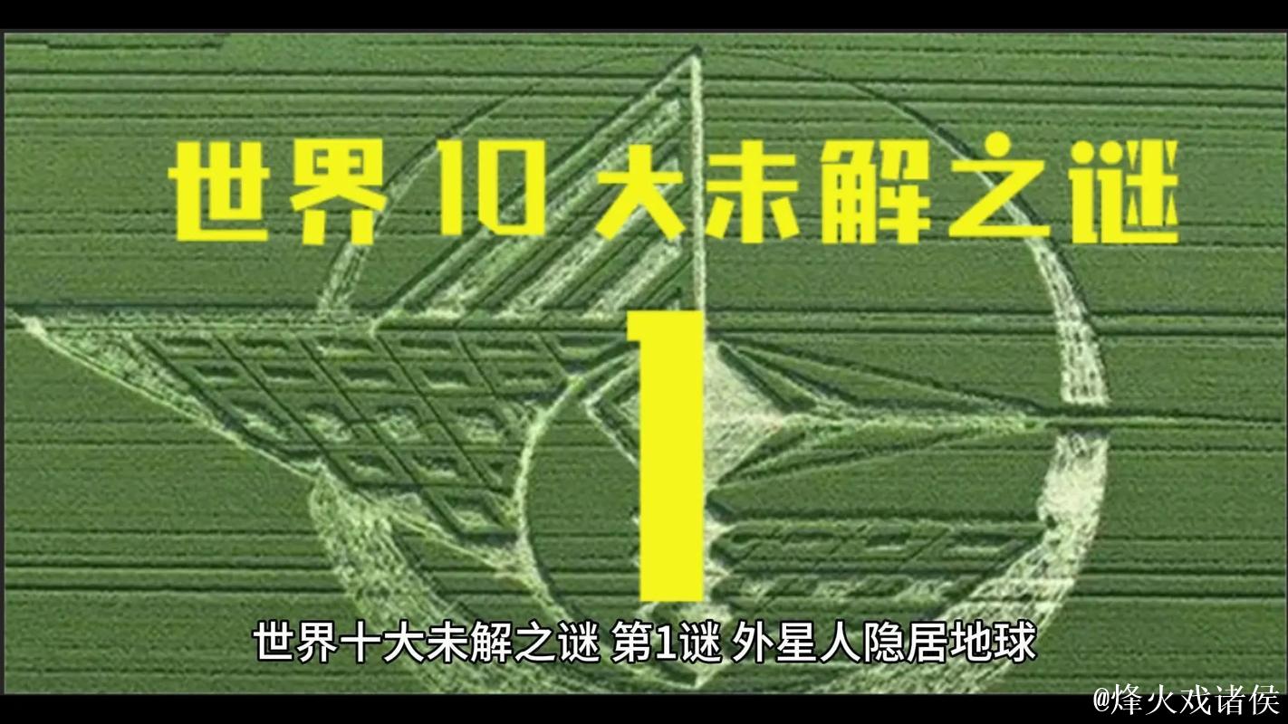 微密群圈986790的神秘世界探索